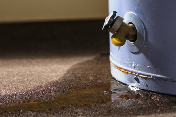 Best Water damage restoration services  in USA